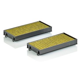 FP 2941-2 Mann filter pollenszűrő