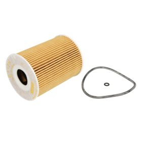 E113H D181 Hengst olajszűrő