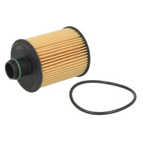 E124H02 D202 Hengst olajszűrő