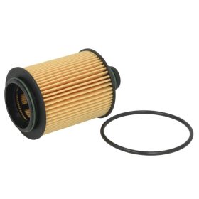 E157H D227 Hengst olajszűrő