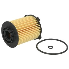 E217H D310 Hengst olajszűrő