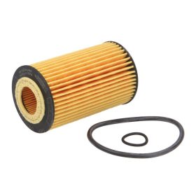 E45H D113 Hengst olajszűrő